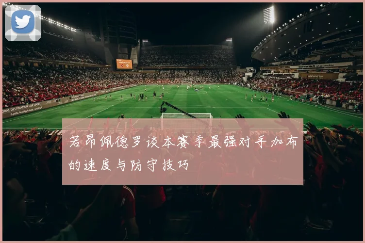 若昂佩德罗谈本赛季最强对手加布的速度与防守技巧