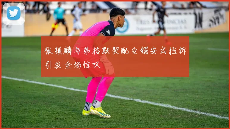 张镇麟与弗格默契配合锡安式挡拆引发全场惊叹